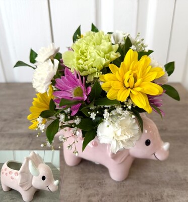 Dino Delight from Aladdin's Floral in Idaho Falls